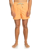 Quıksılver BEHIND WAVES Erkek Şort EQYJV04061-QK.NJF0 thumbnail 6