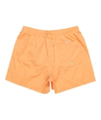 Quıksılver BEHIND WAVES Erkek Şort EQYJV04061-QK.NJF0 thumbnail 1