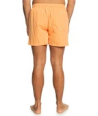 Quıksılver BEHIND WAVES Erkek Şort EQYJV04061-QK.NJF0 thumbnail 4