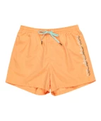 Quıksılver BEHIND WAVES Erkek Şort EQYJV04061-QK.NJF0 thumbnail 5