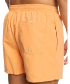 Quıksılver BEHIND WAVES Erkek Şort EQYJV04061-QK.NJF0 thumbnail 3