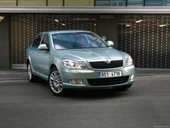 Skoda Octavia MK2  2005-2012 Cam Suyu Bidonu Kapağı 1K0955455 - 2