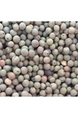 Yem Bezelyesi Tohumu 5 Kg - 1