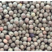 Kirazlı Yem Bezelyesi Tohumu 5 Kg thumbnail 3