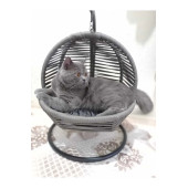 kedi köpek salıncağı - 5