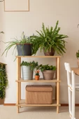 Concept  2 Raflı Balkon Banyo  Kitaplık  Mutfak Dolabı Organizer Ofis Düzenleyici  Ahşap Nature - 1