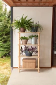 Concept 3 Raflı Organizer Balkon Banyo  Kitaplık  Mutfak Dolabı Ofis Düzenleyici  Ahşap Nature - 1
