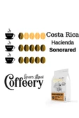 Costa Rica Haciende Sonorared Natural 750 gr (Çekirdek) - 2