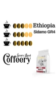 Ethiopia Sidamo Gr.4 Yöresel Kahve 750 gr (Öğütülmüş) - 2