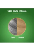 Naturals Saç Boyası Açık Kumral 8/0 - 3