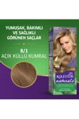 Naturals Saç Boyası Açık Küllü Kumral 8/1 - 2