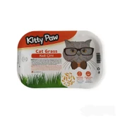 Kedi Çimi 2 Adet Fileli, Topraklı, (Tüy Yumağı Önleyici) thumbnail 2