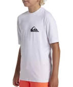 Quıksılver EVERYDAY SURF TEE SS YOUTH Erkek Çocuk T-shirt AQBWR03067-QK.10 thumbnail 3