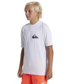 Quıksılver EVERYDAY SURF TEE SS YOUTH Erkek Çocuk T-shirt AQBWR03067-QK.10 thumbnail 2