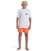 Quıksılver EVERYDAY SURF TEE SS YOUTH Erkek Çocuk T-shirt AQBWR03067-QK.10 thumbnail 4