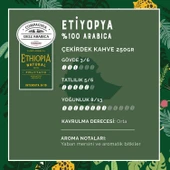 Caffe Corsini Etiyopya %100 Arabica Çekirdek Kahve 250GR - 3