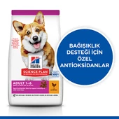 Hill’s SCIENCE PLAN Adult Small & Mini Chicken Küçük Irk Tavuklu Yetişkin Köpek Maması 6 Kg - 2