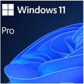 Microsoft Oem Windows Pro 11 64 Bit Türkçe FQC-10556  Kutusuz İşletim Sistemi thumbnail 4