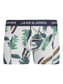 Jack Jones Louıs Erkek Boxer 12253570 thumbnail 2
