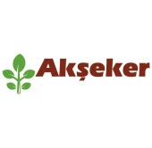 Taşpınar Akşeker Kuru Fasulye Tohumu 1 kg thumbnail 1