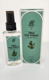Rebul Pine Forest 125ML Sprey Başlık Kutulu PVC Şişe Kolonya - 2