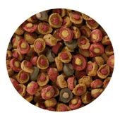 Sera Koi Dört Mevsim Probiyotikli Yemi 500 gr SKT: 08/2027 thumbnail 2