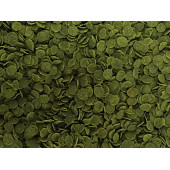 Lepistes-Melek-Tetra Guppy Mix Granules 1000ml, Algae Garlic,Protect Mix,Algea Veggie 100ml Yem Seti - 5