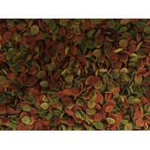 Lepistes-Melek-Tetra Guppy Mix Granules 1000ml, Algae Garlic,Protect Mix,Algea Veggie 100ml Yem Seti - 7