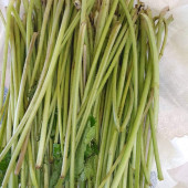 500 Gram Hodan-Kaldirik-Ispıt Otu Sapı - 2