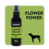 Animology Flower Power Fragrance Mist 150 ml. - 1