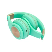 FRISBY FHP-842BT BLUETOOTH MAVİ KULAKLIK thumbnail 2