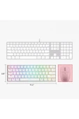 K530 PRO Draconic Türkçe Q 60% Kompakt Kablosuz - Bluetooth 2.4G Brown Switch Mekanik Beyaz Klavye - 7