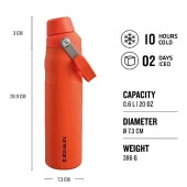Stanley The Aerolight IceFlow Soğuk Su Termosu 0,60 Lt (20 OZ) - Tigerlily - 2