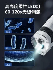 PEROKS Mini Ayaksız El Mikroskobu 250X (Çocuklar için -Cep boy)Küçük bilim insanları ve meraklı kaşifler için harika bir fırsat! - 5