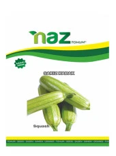 Naz Tohum Şaduman Kabak 10 gr - 1