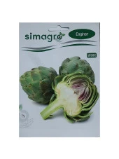 Simagro Enginar Tohumu - 1