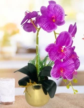 Nettenevime Yapay Çiçek Fuşya Islak Orkide Gold Metal Saksıda Seramik Saksıda Orkide 60cm thumbnail 1