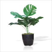 Yapay Uzun 40 cm Çimli Saksılı Monstera Deliciosa Deve Tabanı Kauçuk Çiçeği Bitkisi Ağacı Yaprağı - 1