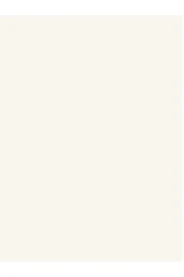 Stella Kırık Beyaz Su Bazlı Saf Akrilik Boya 0.50Lt 1087 thumbnail 3