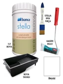 Stella Saf Akrilik Boya Seti 1 Lt - 1