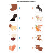 Okul Öncesi EŞLEŞTİRME Süper Kitap Seti (2 Kitap) - 4