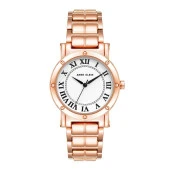 ANNE KLEIN AK-4014WTRG Kadın Kol Saati - 1