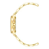 ANNE KLEIN AK-4132RQGB Kadın Kol Saati thumbnail 3