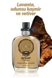 Scent Masculine Woody Erkek Parfüm Edt 30 Ml. - 2