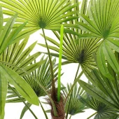 Nettenevime Yapay Ağaç Palmiye Ağacı 155cm Fanpalm Ağacı 12 Yaprak thumbnail 5