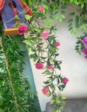 Nettenevime Yapay Çiçek Sarkan Doğal Dallı Mor Yaban Gülü 70cm Yapay Sarmaşık Yeşil - 3