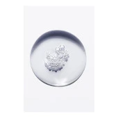 Bain Régénérant Yenileyici Şampuan 250ml thumbnail 5