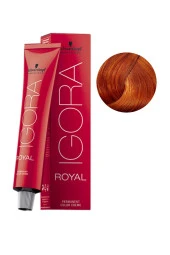 Igora Royal 8-77 Açık Kumral Yoğun Bakır - 1