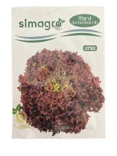 Simagro Marul Kırmızı Kıvırcık 5 gr - 1