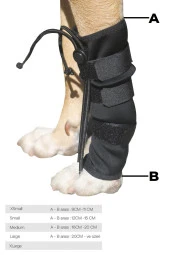 Köpek Ön Ayak Düzleştirici - XSmall - 2